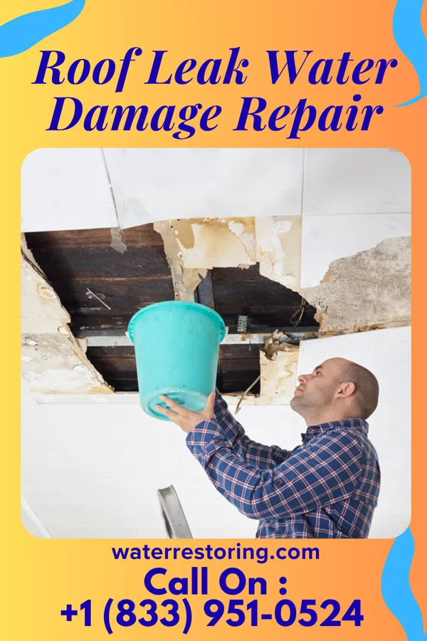 Roof Leak Water Damage Repair in San Carlos I, TX